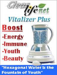 Vitalizer Plus - Lowest Price Ever